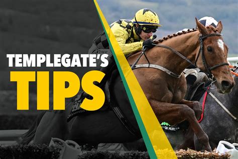 Latest Horse Racing Tips for Plumpton .